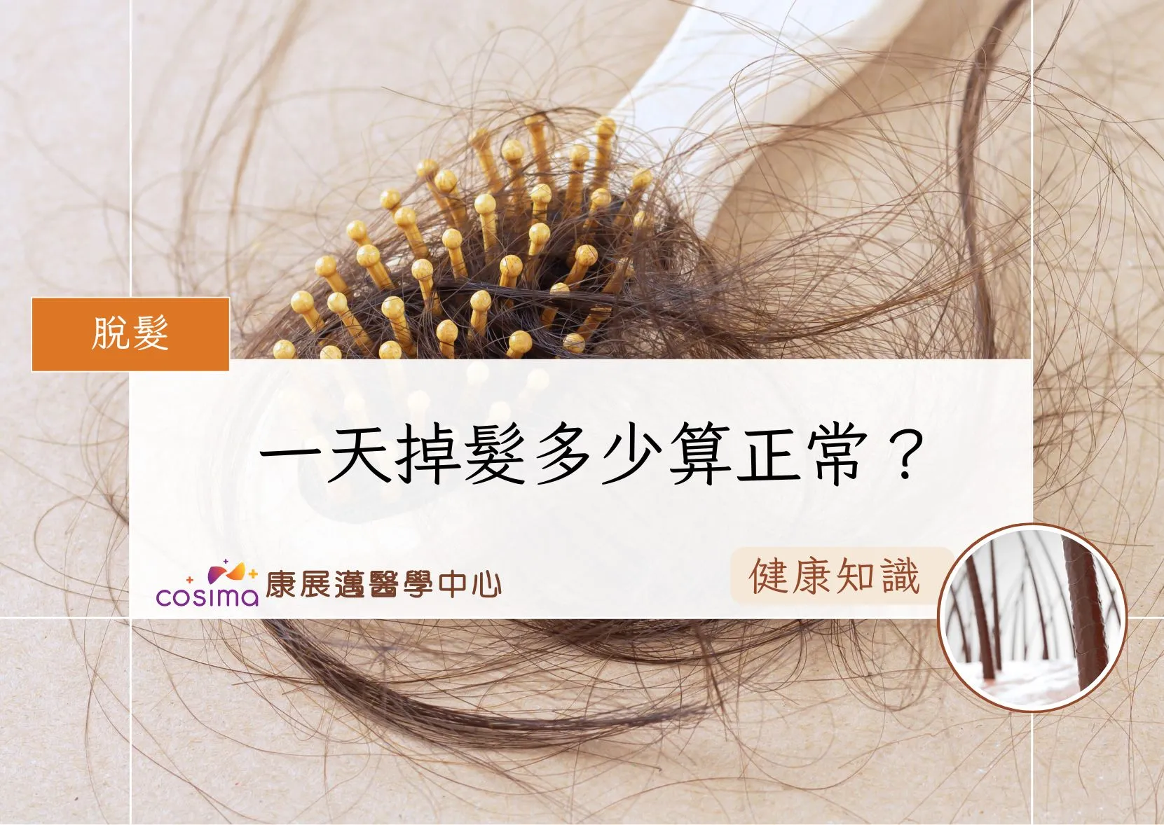 一天掉髮多少算正常？